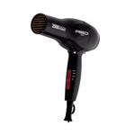 2000 Ceramic Ionic Dryer