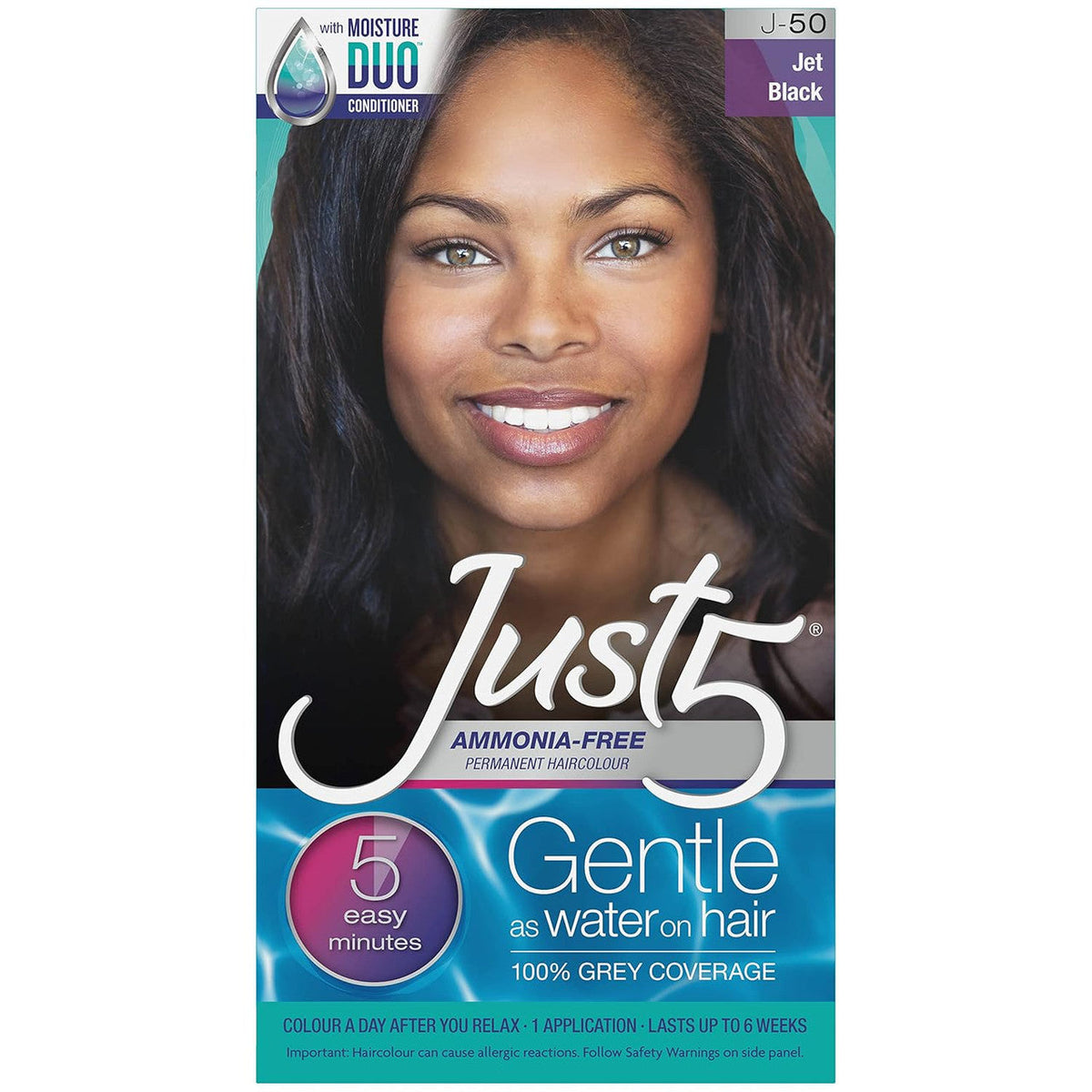 Just 5 Permanent Hair Color Kit — Jet Black — 1 application kit